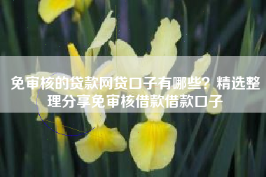 免审核的贷款网贷口子有哪些？精选整理分享免审核借款借款口子