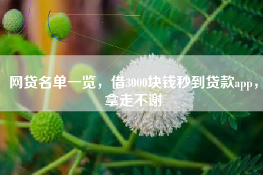 网贷名单一览，借3000块钱秒到贷款app，拿走不谢