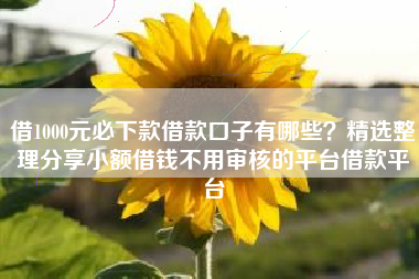 借1000元必下款借款口子有哪些？精选整理分享小额借钱不用审核的平台借款平台