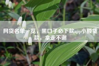 网贷名单一览，黑口子必下款app小额贷款，拿走不谢
