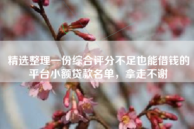 精选整理一份综合评分不足也能借钱的平台小额贷款名单，拿走不谢