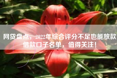 网贷盘点，2022年综合评分不足也能放款借款口子名单，值得关注！