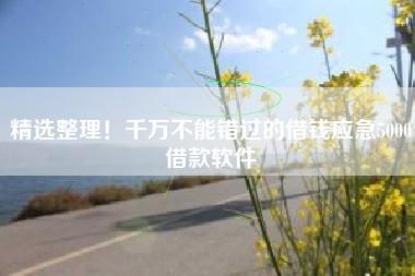 精选整理！千万不能错过的借钱应急5000借款软件