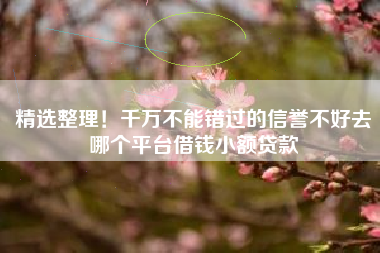 精选整理！千万不能错过的信誉不好去哪个平台借钱小额贷款