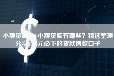 小额贷款1000小额贷款有哪些？精选整理分享3000元必下的贷款借款口子