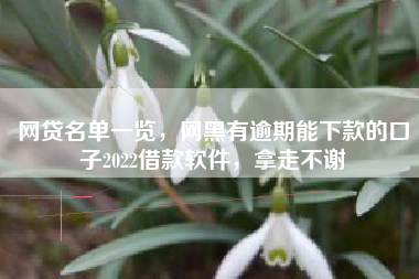 网贷名单一览，网黑有逾期能下款的口子2022借款软件，拿走不谢