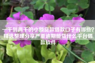 一千到两千的小额贷款借款口子有哪些？精选整理分享严重逾期能贷什么平台借款软件