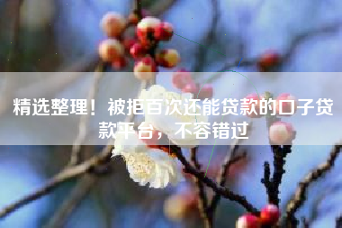 精选整理！被拒百次还能贷款的口子贷款平台，不容错过