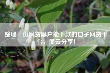 整理一份网贷黑户能下款的口子网贷平台，简云分享！