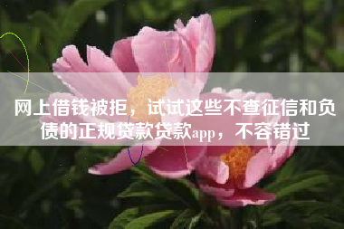 网上借钱被拒，试试这些不查征信和负债的正规贷款贷款app，不容错过