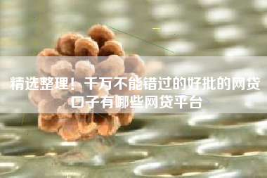 精选整理！千万不能错过的好批的网贷口子有哪些网贷平台