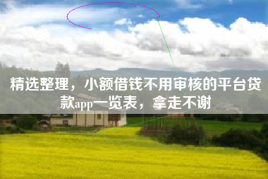 精选整理，小额借钱不用审核的平台贷款app一览表，拿走不谢