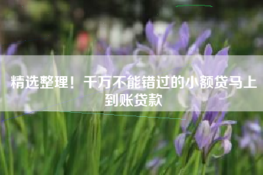 精选整理！千万不能错过的小额贷马上到账贷款