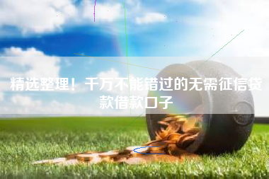 精选整理！千万不能错过的无需征信贷款借款口子