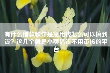 有什么借款软件是急用钱怎么可以搞到钱？这几个就是小额借钱不用审核的平台