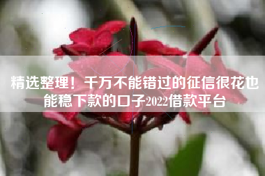 精选整理！千万不能错过的征信很花也能稳下款的口子2022借款平台