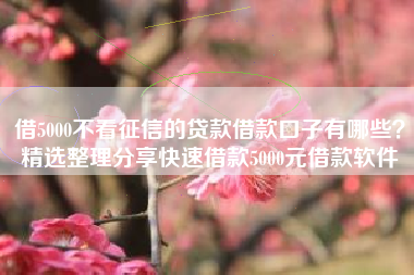 借5000不看征信的贷款借款口子有哪些？精选整理分享快速借款5000元借款软件