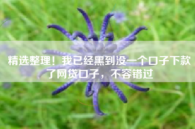 精选整理！我已经黑到没一个口子下款了网贷口子，不容错过