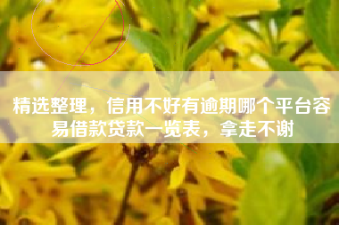 精选整理，信用不好有逾期哪个平台容易借款贷款一览表，拿走不谢