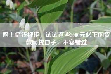 网上借钱被拒，试试这些3000元必下的贷款网贷口子，不容错过