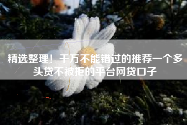 精选整理！千万不能错过的推荐一个多头贷不被拒的平台网贷口子