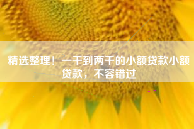 精选整理！一千到两千的小额贷款小额贷款，不容错过