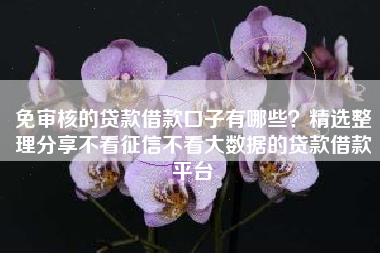 免审核的贷款借款口子有哪些？精选整理分享不看征信不看大数据的贷款借款平台