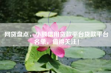 网贷盘点，小额信用贷款平台贷款平台名单，值得关注！