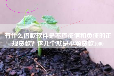 有什么借款软件是不查征信和负债的正规贷款？这几个就是小额贷款1000