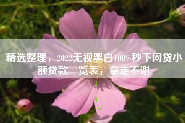 精选整理，2022无视黑白100%秒下网贷小额贷款一览表，拿走不谢