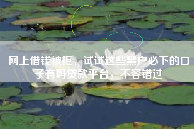 网上借钱被拒，试试这些黑户必下的口子有吗贷款平台，不容错过