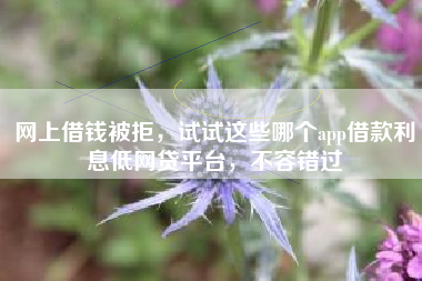 网上借钱被拒，试试这些哪个app借款利息低网贷平台，不容错过