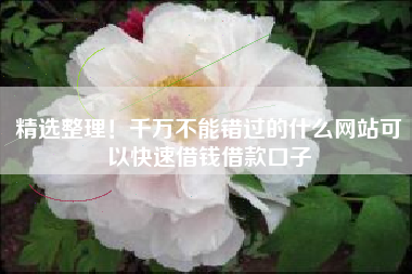 精选整理！千万不能错过的什么网站可以快速借钱借款口子