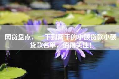 网贷盘点，一千到两千的小额贷款小额贷款名单，值得关注！