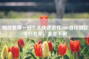 精选整理一份个人快速借钱1000借钱借款平台名单，拿走不谢
