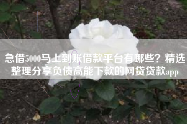 急借5000马上到账借款平台有哪些？精选整理分享负债高能下款的网贷贷款app