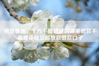 精选整理！千万不能错过的哪里借款不需要审核立即放款借款口子