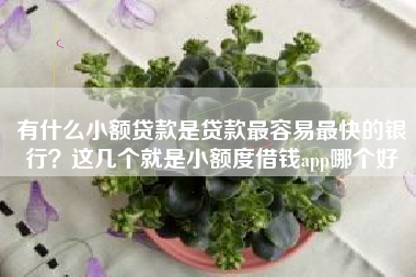 有什么小额贷款是贷款最容易最快的银行？这几个就是小额度借钱app哪个好