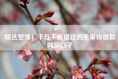 精选整理！千万不能错过的免审核借款网贷口子