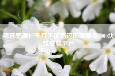 精选整理！千万不能错过的哪里贷5000块钱贷款平台