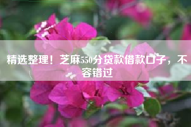 精选整理！芝麻550分贷款借款口子，不容错过