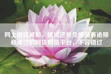 网上借钱被拒，试试这些负债高有逾期必通过的网贷网贷平台，不容错过