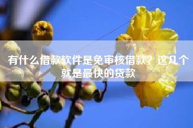 有什么借款软件是免审核借款？这几个就是最快的贷款