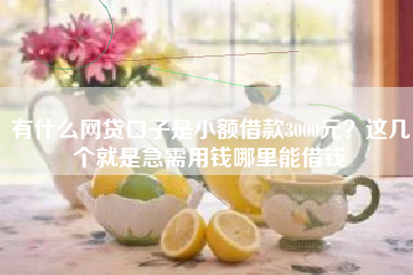 有什么网贷口子是小额借款3000元？这几个就是急需用钱哪里能借钱