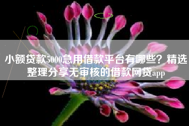 小额贷款5000急用借款平台有哪些？精选整理分享无审核的借款网贷app