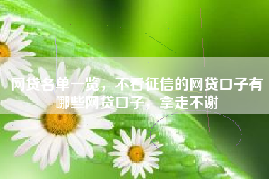 网贷名单一览，不看征信的网贷口子有哪些网贷口子，拿走不谢