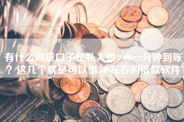有什么网贷口子是私人借3000一分钟到账？这几个就是可以借500左右的借款软件