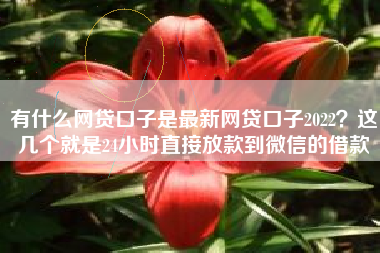 有什么网贷口子是最新网贷口子2022？这几个就是24小时直接放款到微信的借款
