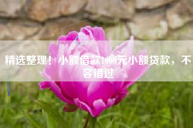 精选整理！小额借款1000元小额贷款，不容错过