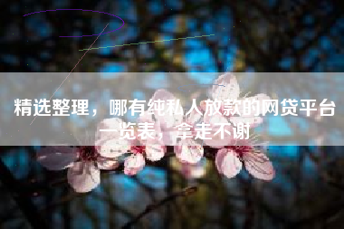 精选整理，哪有纯私人放款的网贷平台一览表，拿走不谢